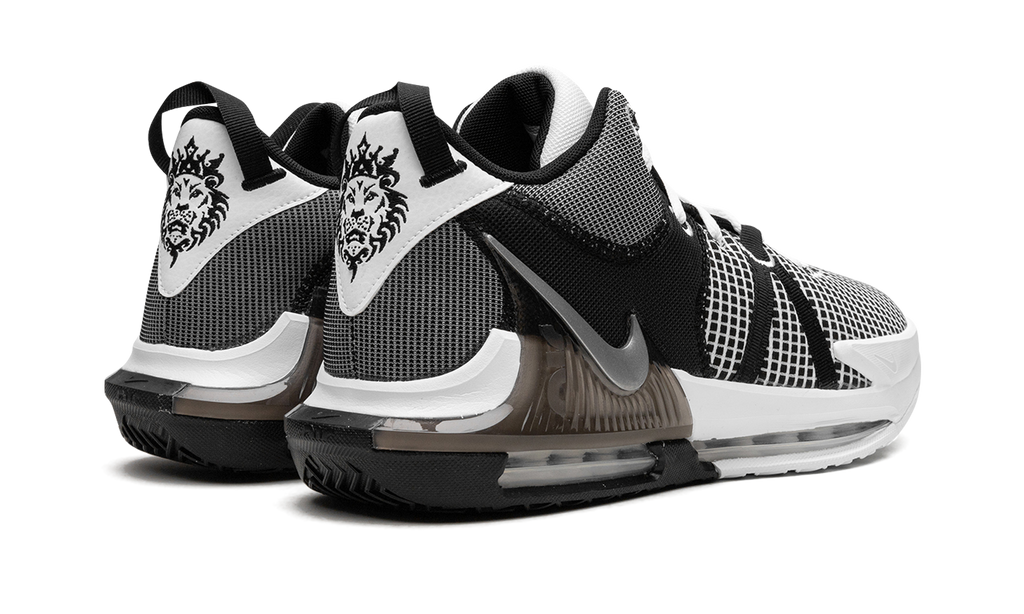 Nike LeBron Witness VII "Metallic Silver" DM1123 100