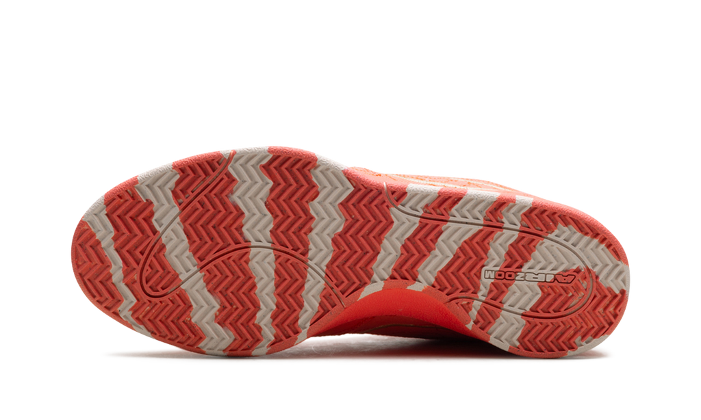 Nike Book 1 "Sedona" IB8054 800