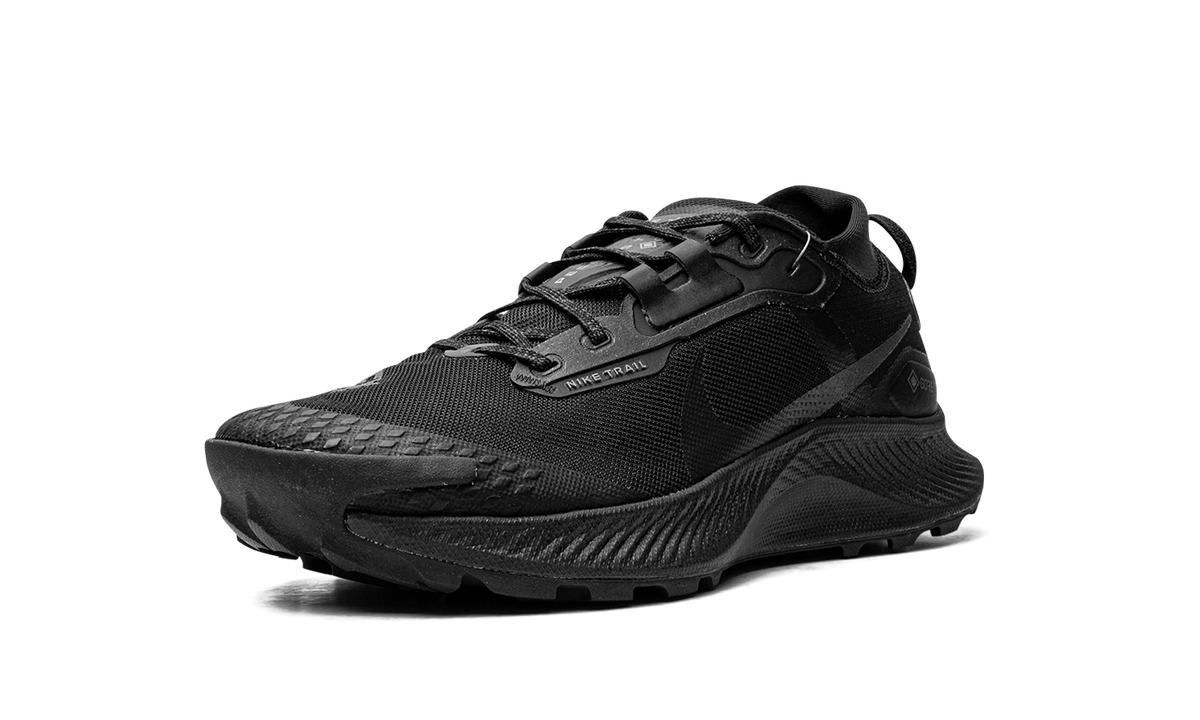 NIKE Pegasus Trail 3 GTX "Gore-Tex - Triple Black" DC8793 001