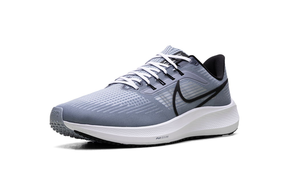 Nike Air Zoom Pegasus 39 "Ashen Slate / Black" DH4071 401