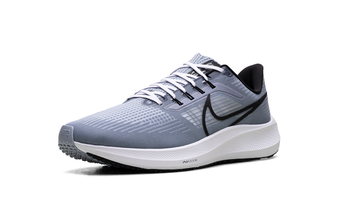 Nike Air Zoom Pegasus 39 "Ashen Slate / Black" DH4071 401