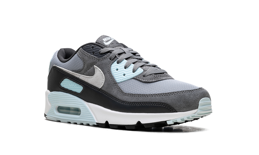 Nike Air Max 90 "Pumice" DM0029 009