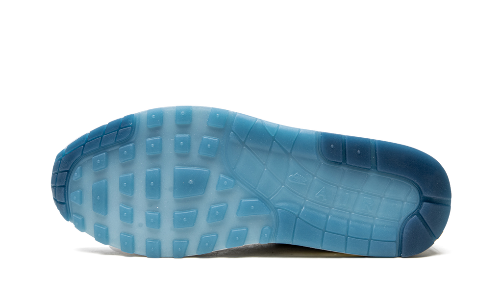 Nike Air Max 1 "Blueprint" DR0448 100
