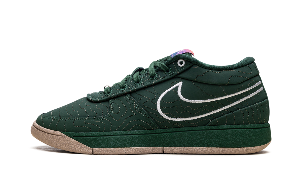 Nike Book 1 "Flagstaff" FJ4249 300