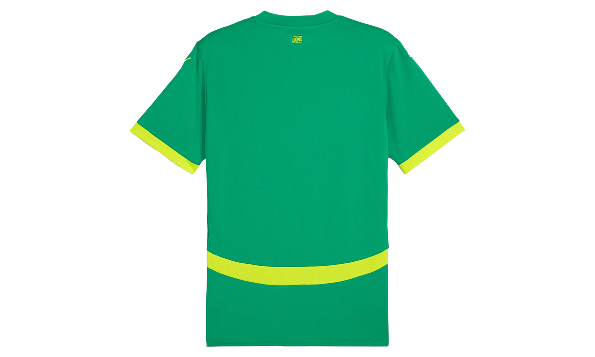 Puma FSF AWAY JERSEY REPLICA "Green" 777166 03