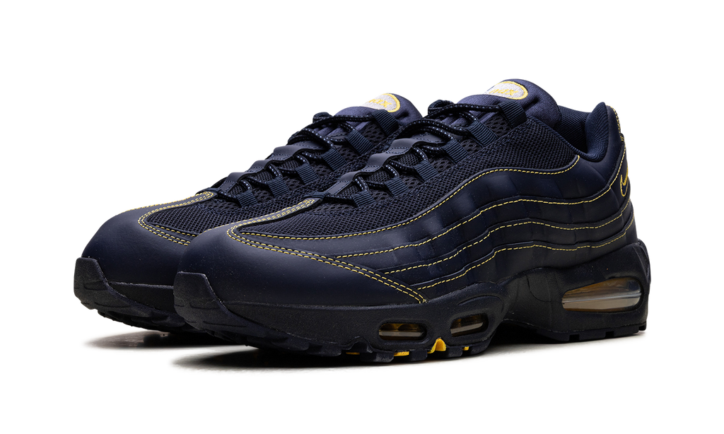 Nike Air Max 95 "Michigan" IB7936 400