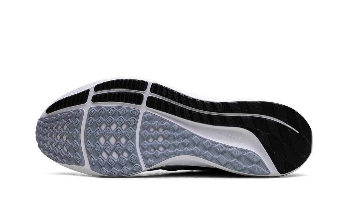 Nike Air Zoom Pegasus 39 "Ashen Slate / Black" DH4071 401