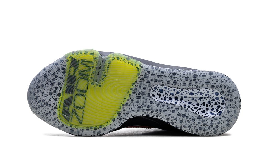 Nike Zoom GT Hustle 3 "Safari" FV3422 900