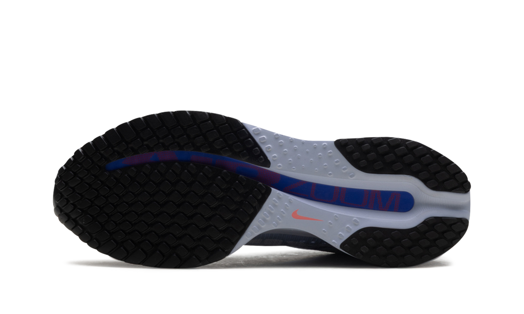 Nike Pegasus Premium "Persian Violet" HQ2592 004