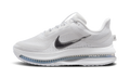 Nike Pegasus Premium WMNS "White Metallic Silver" HQ2593 102