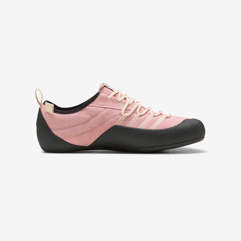 Puma Klim