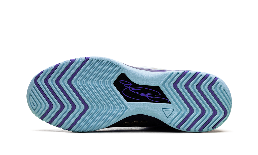 Nike Zoom LeBron NXXT Genisus "Monopoly" IB1271 501