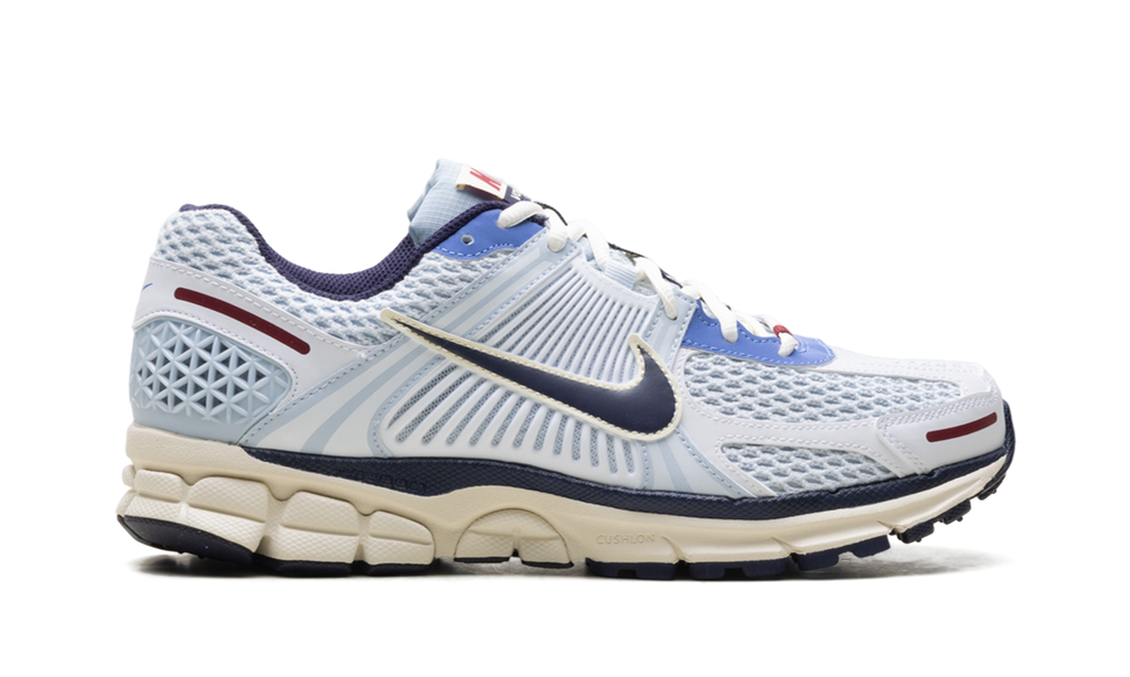 Nike Zoom Vomero 5 WMNS "Blue Tint" FV8111 451