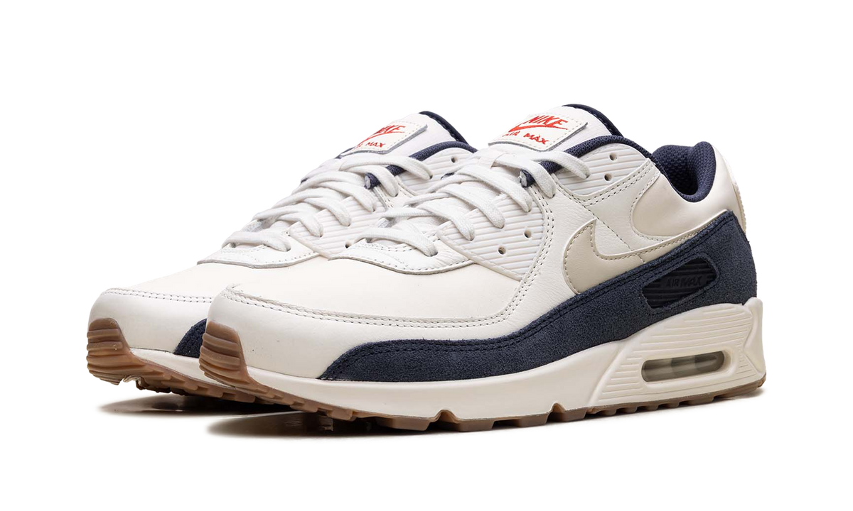 Nike Air Max 90 "Rare Air - Pale Ivory" IH4379 110