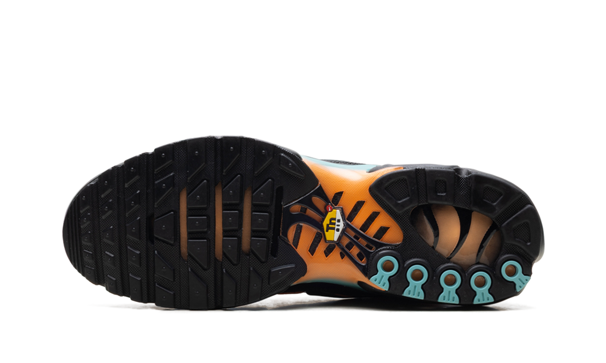 Nike Air Max Plus "South Beach" DM0032 022