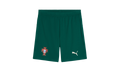 Puma FPF SHORTS REPLICA "Green" 779226 10