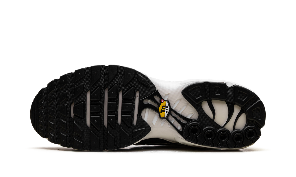 Nike Air Max Plus "Panda" FV6264 001