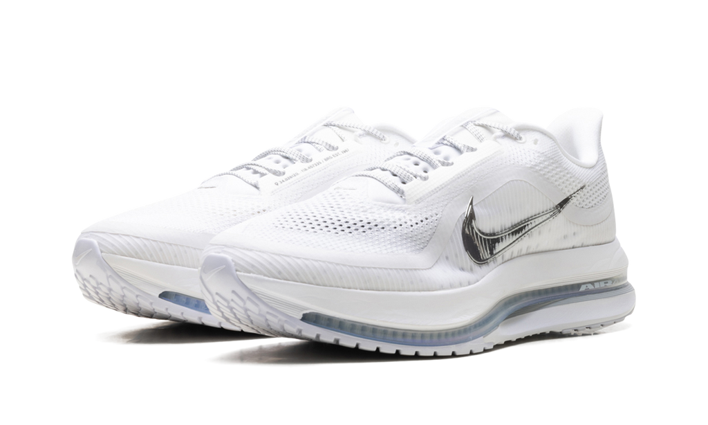 Nike Pegasus Premium "White Metallic Silver" HQ2592 102
