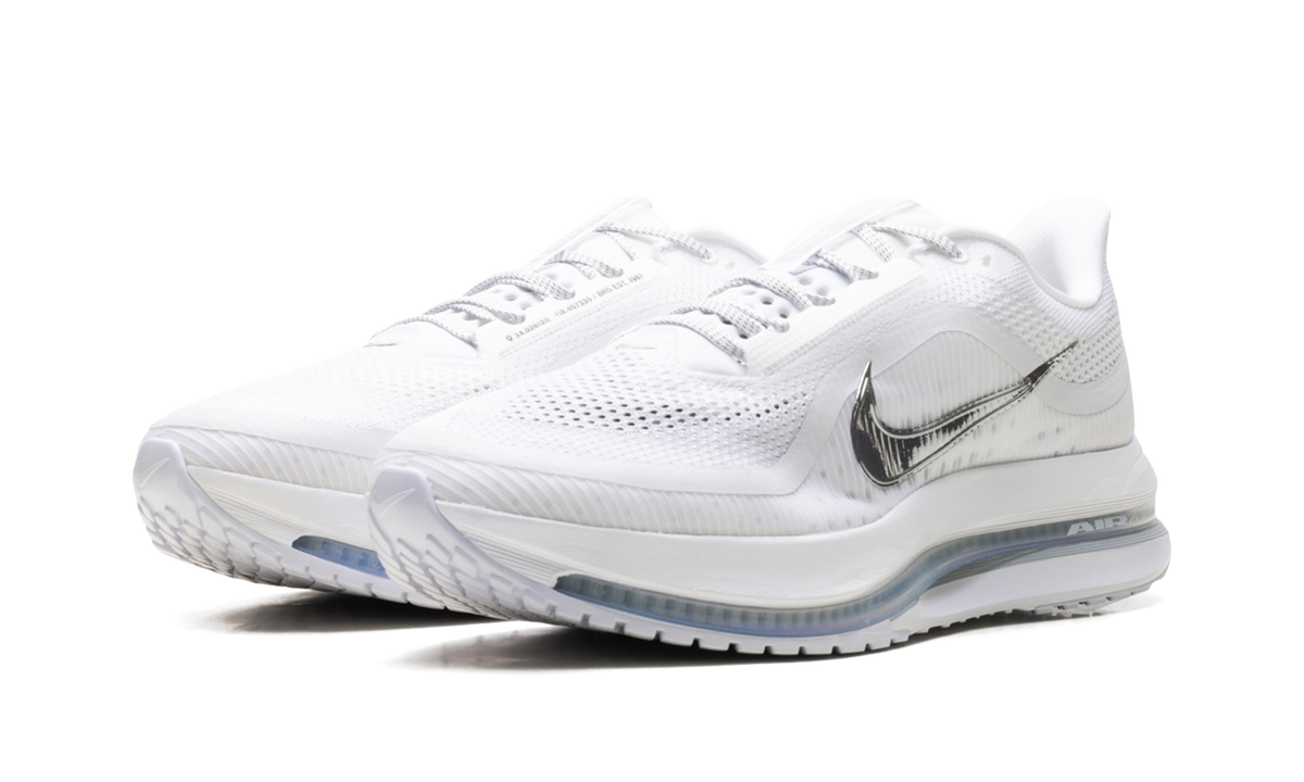 Nike Pegasus Premium "White Metallic Silver" HQ2592 102