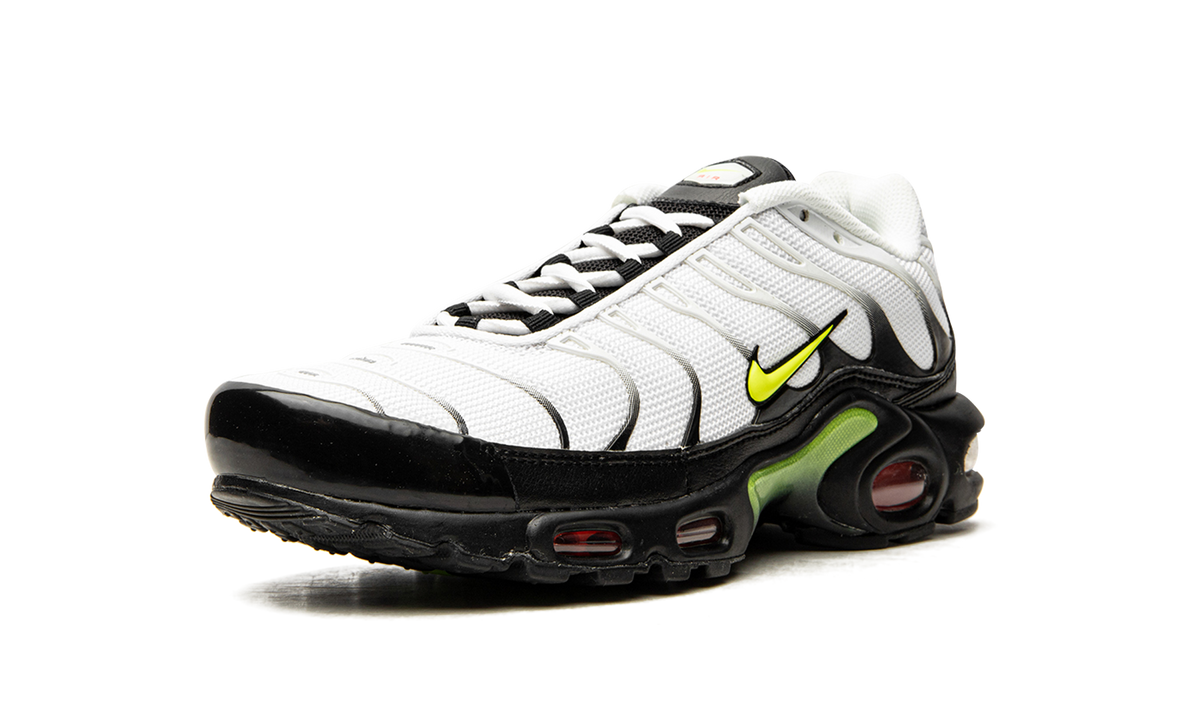Nike Air Max Plus "Retro Future" AJ2013 100