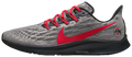 Nike Air Zoom Pegasus 36 "Ohio State" CI2069 001
