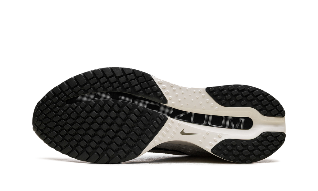 Nike Pegasus Premium "Run" IH2288 001