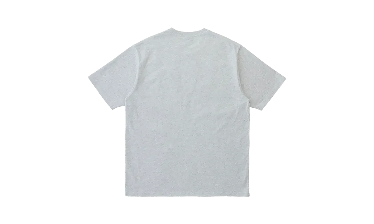 Gramicci Granola Tee "Ash Heather" G5FU T080 GM052