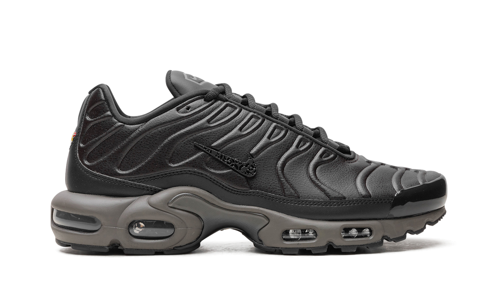 Nike Air Max Plus "Black Tea / Petra Brown" "Black Tea / Petra Brown" HJ4519 200