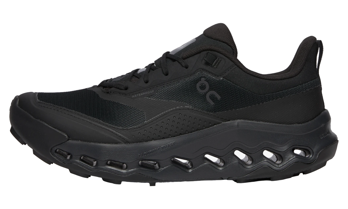 ON RUNNING Cloudhorizon 2 Waterproof "Black" 3MG10211043