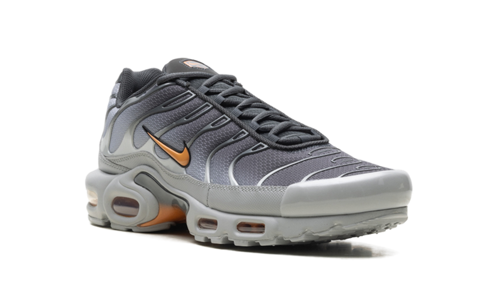 Nike Air Max Plus "Light Smoke Grey Hot Curry" DM0032 037