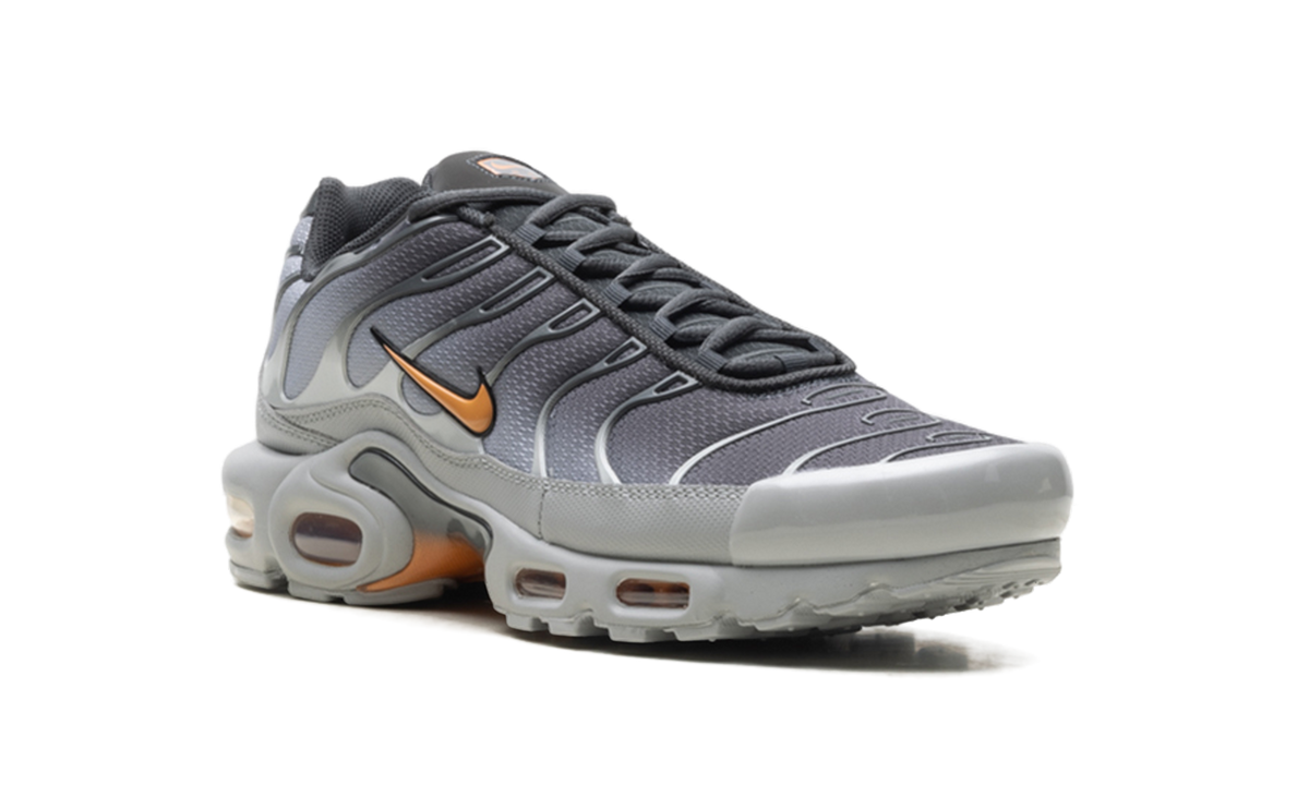 Nike Air Max Plus "Light Smoke Grey Hot Curry" DM0032 037