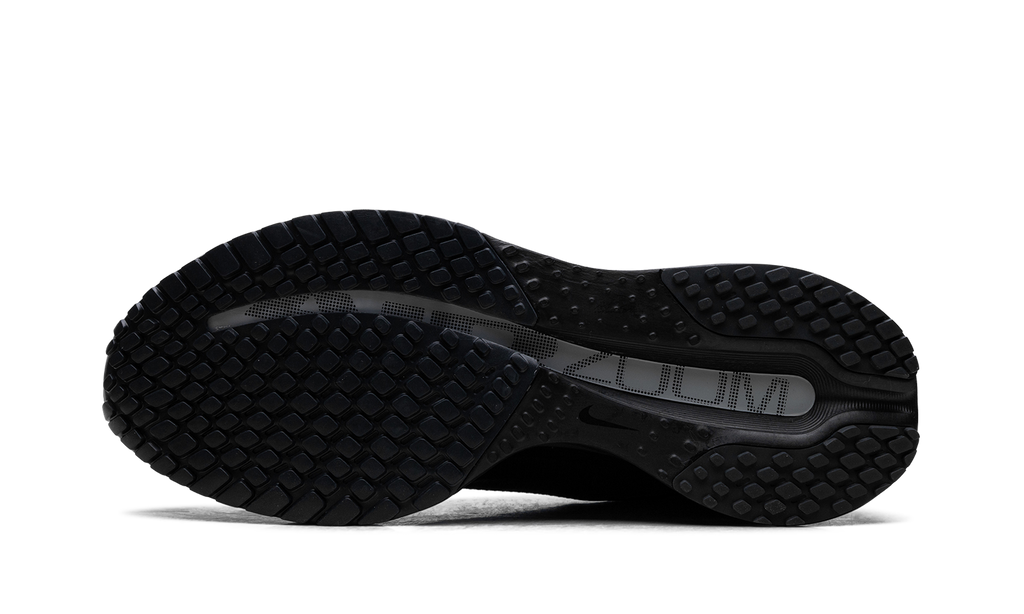 Nike Air Zoom Pegasus Premium SP "Black Metallic Silver" IH4369001