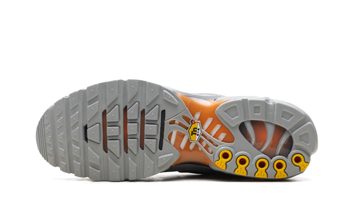 Nike Air Max Plus "Light Smoke Grey Hot Curry" DM0032 037