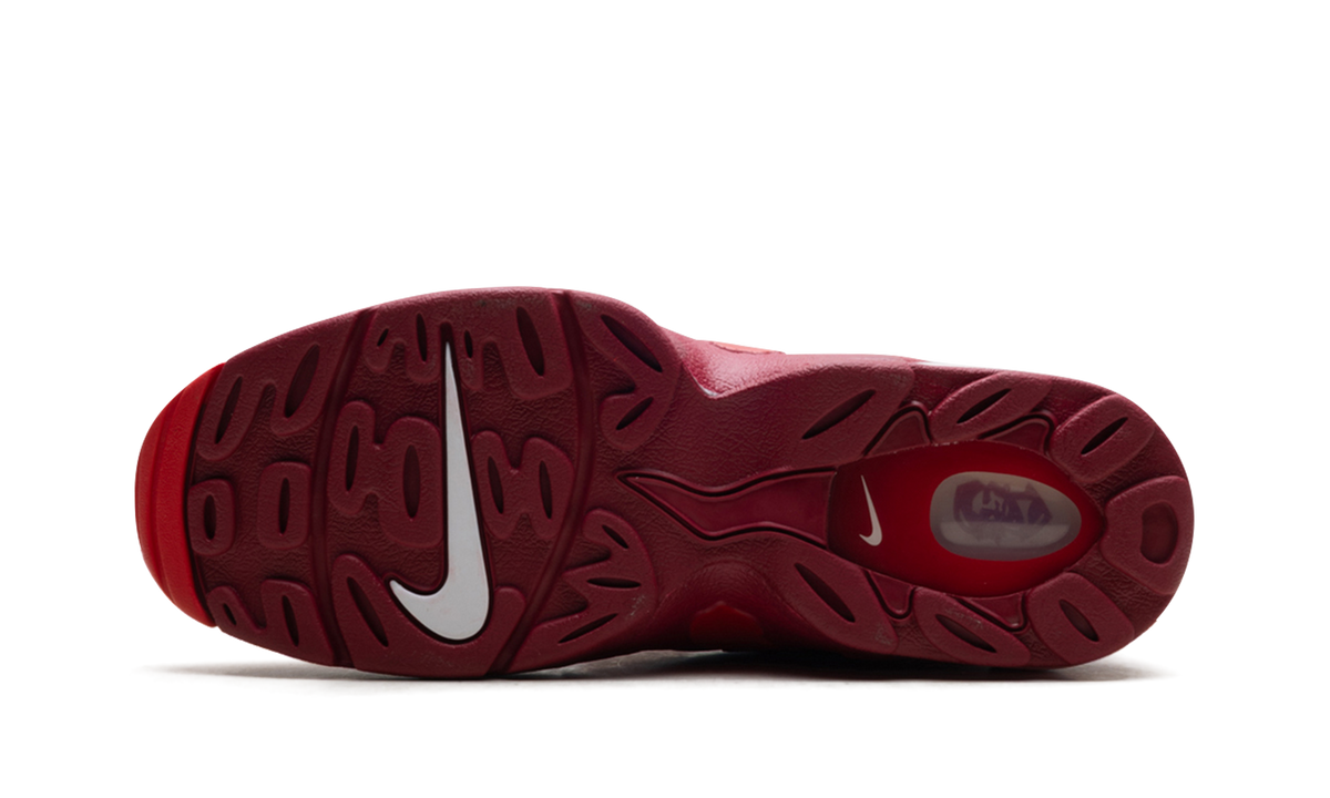 Nike Air DT Max '96 "Love Letter To Connie" IF1617 600