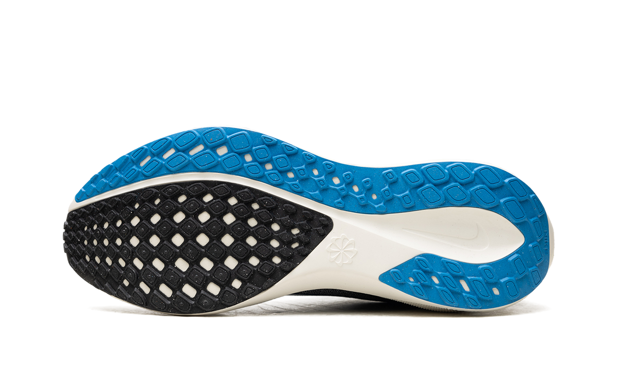 Nike Air Zoom Pegasus 41 "Sail / Photo Blue" HV5218 100