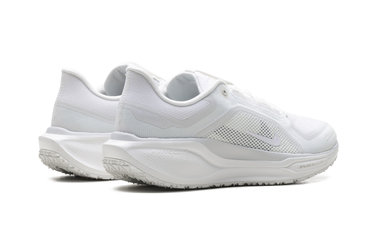 Nike Air Zoom Pegasus 41 "Gore-Tex" FQ1356 101