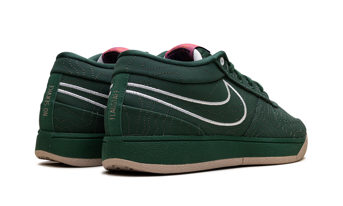 Nike Book 1 "Flagstaff" FJ4249 300