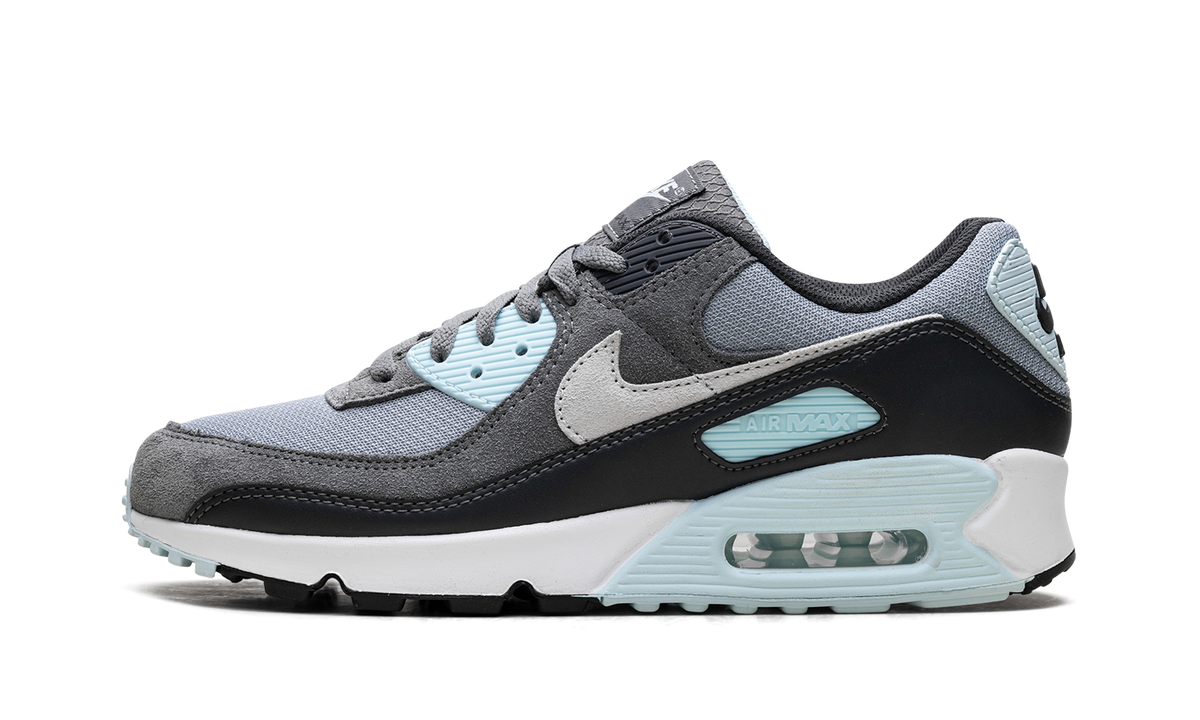 Nike Air Max 90 "Pumice" DM0029 009