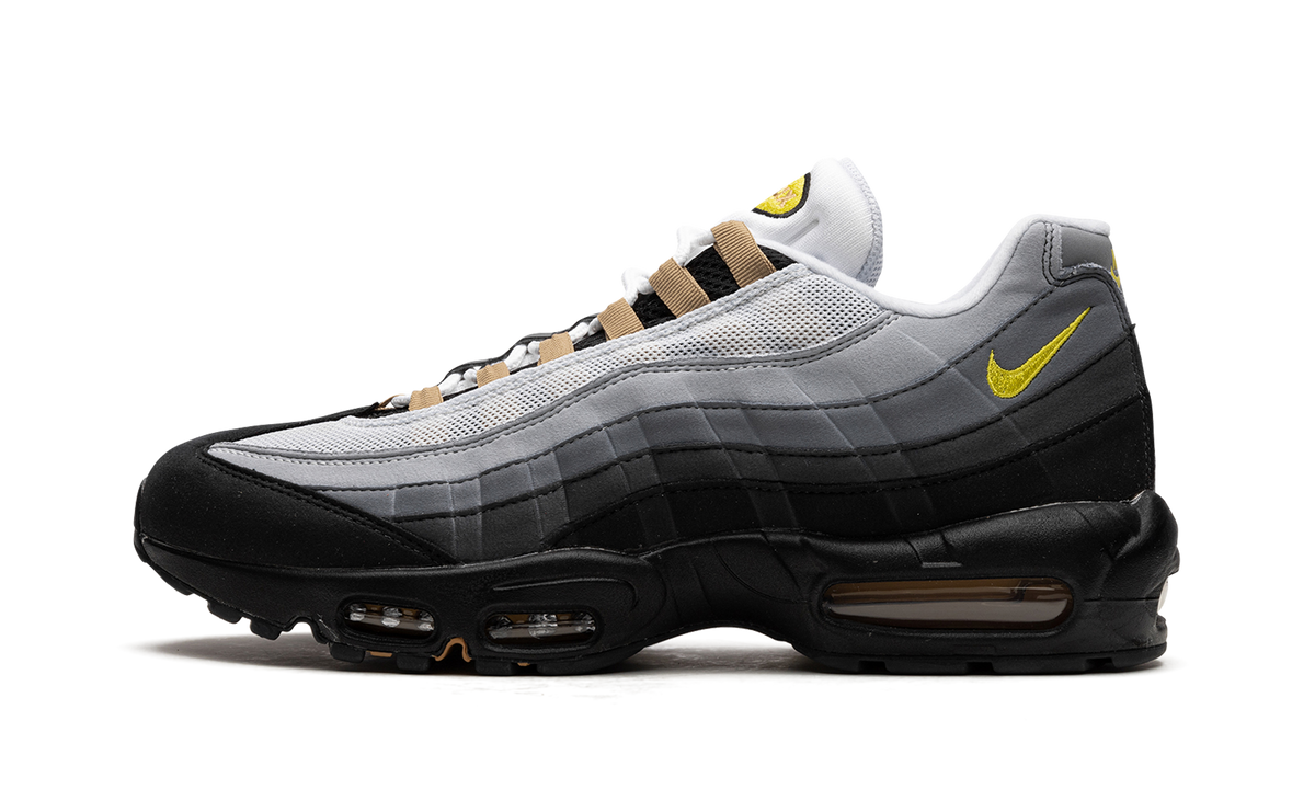 Nike Air Max 95 "ICONS" DX4236 100