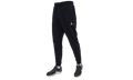 Jordan TEAM DRY FLEECE PANT "Black" CV8347 012