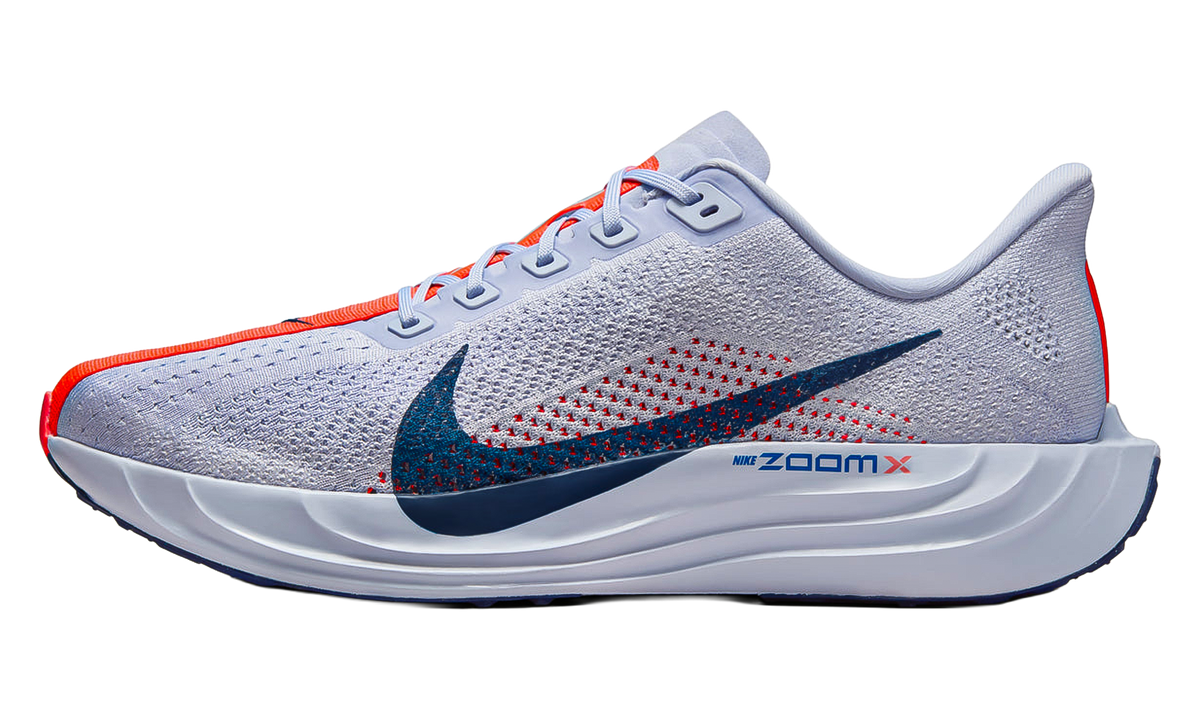 Nike Pegasus Plus "Ghost Blue Void Bright Crimson" FQ7262 006