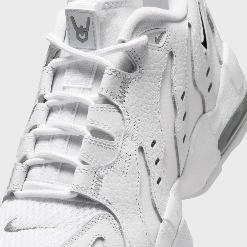 Nike Air DT Max '96 Low - White / Light Smoke Grey / Metallic Silver