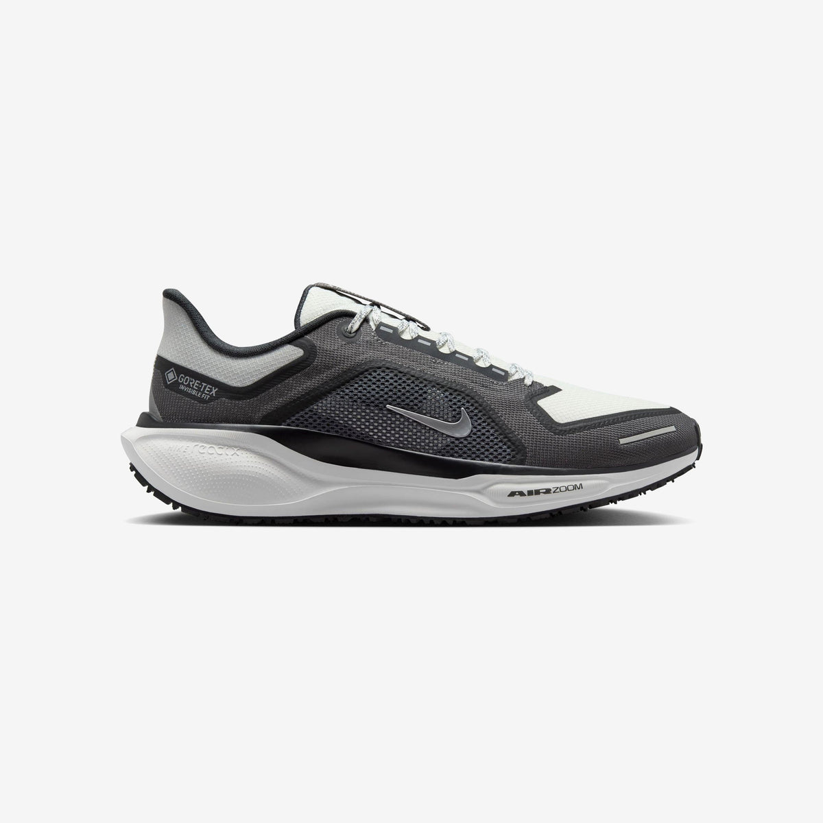 Nike Pegasus 41 GORE-TEX