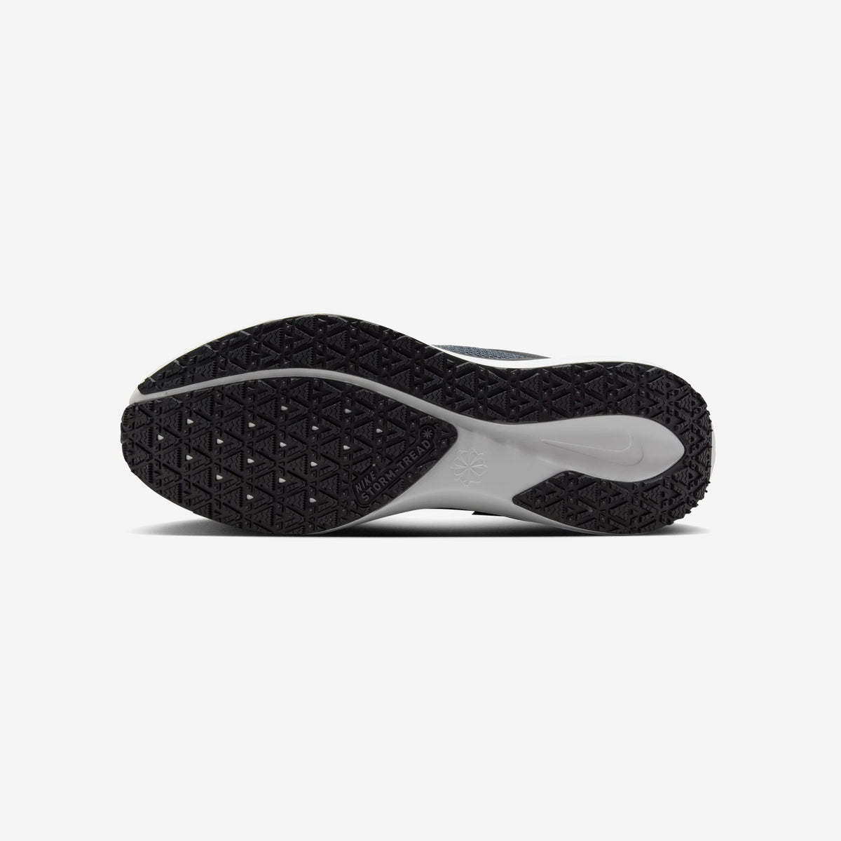 Nike Pegasus 41 GORE-TEX