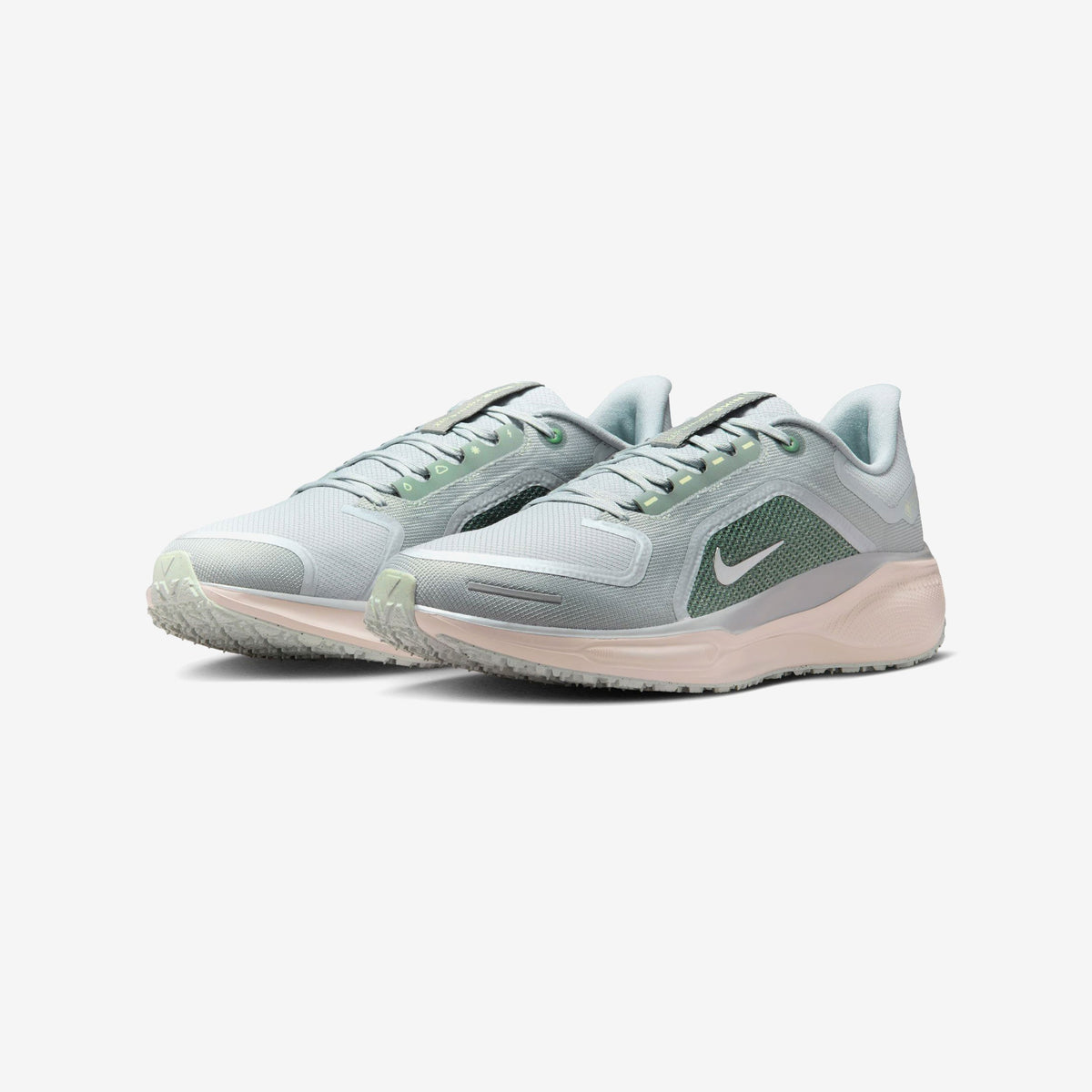 Nike Pegasus 41 GORE-TEX