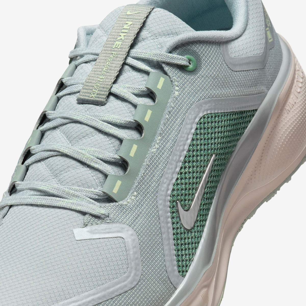Nike Pegasus 41 GORE-TEX