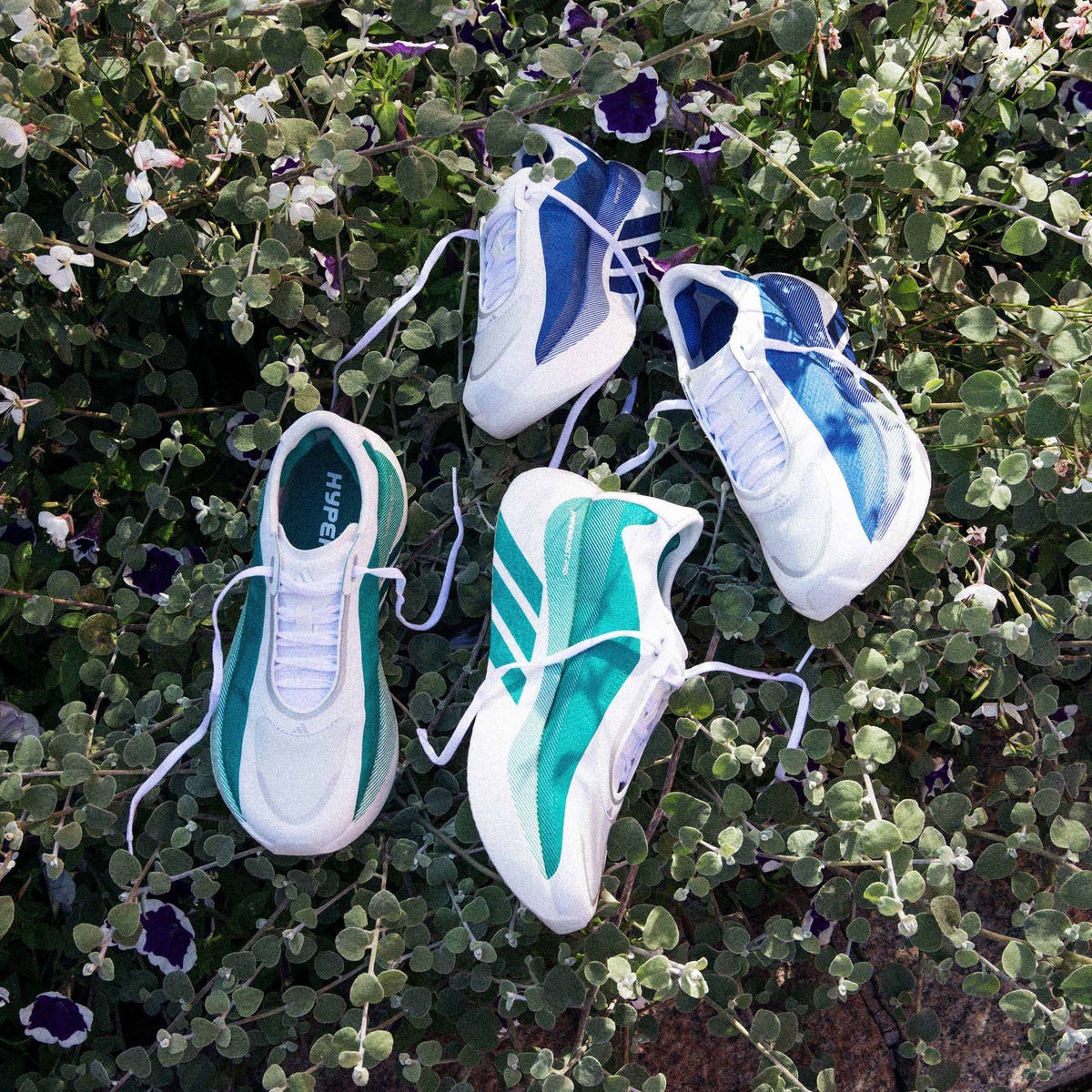 adidas Wmns Hyperboost Edge