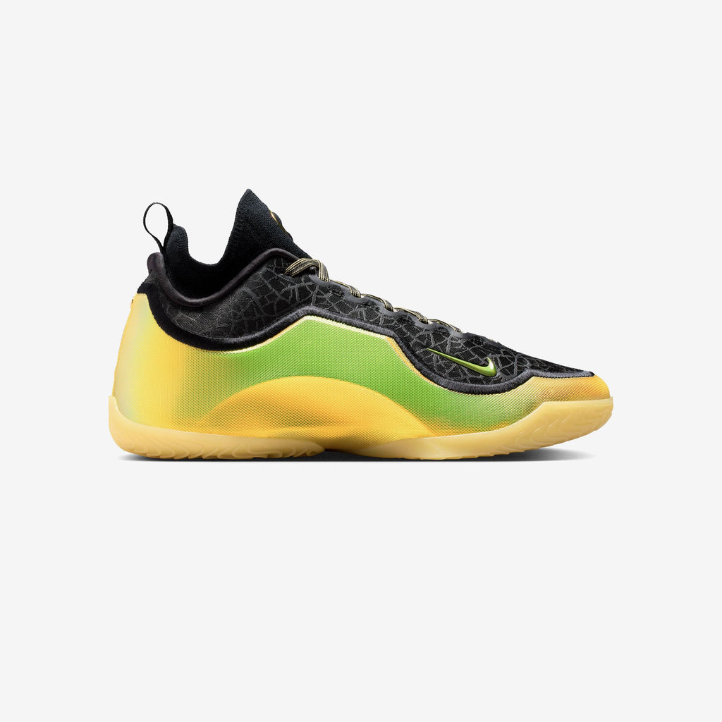 Nike Lebron XXIII Elite "Hurt Feelings"