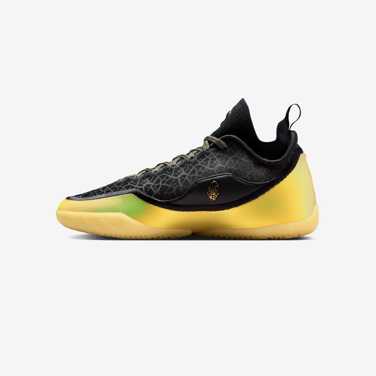 Nike Lebron XXIII Elite "Hurt Feelings"