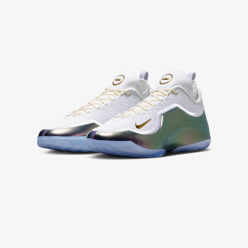 Nike Lebron XXIII Elite "For the Record"